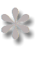 ✽